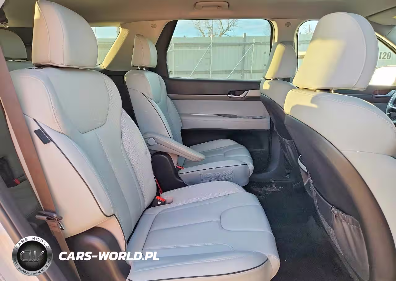 2025 Hyundai Palisade Sel VIN:KM8R2DGE1SU876383 - 11