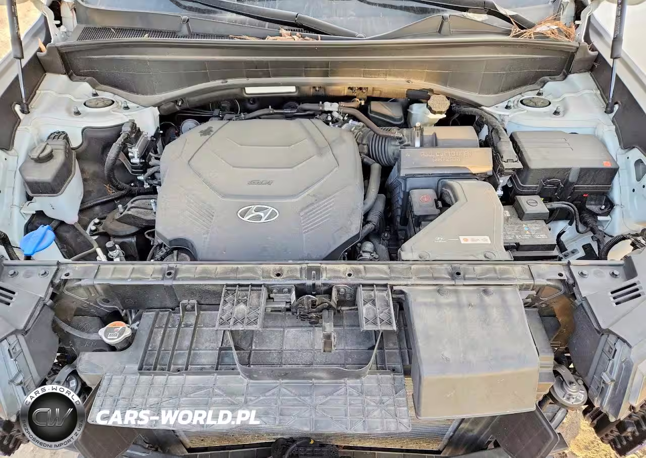 2025 Hyundai Palisade Sel VIN:KM8R2DGE1SU876383 - 12