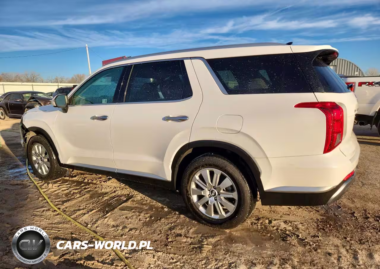 2025 Hyundai Palisade Sel VIN:KM8R2DGE1SU876383 - 2
