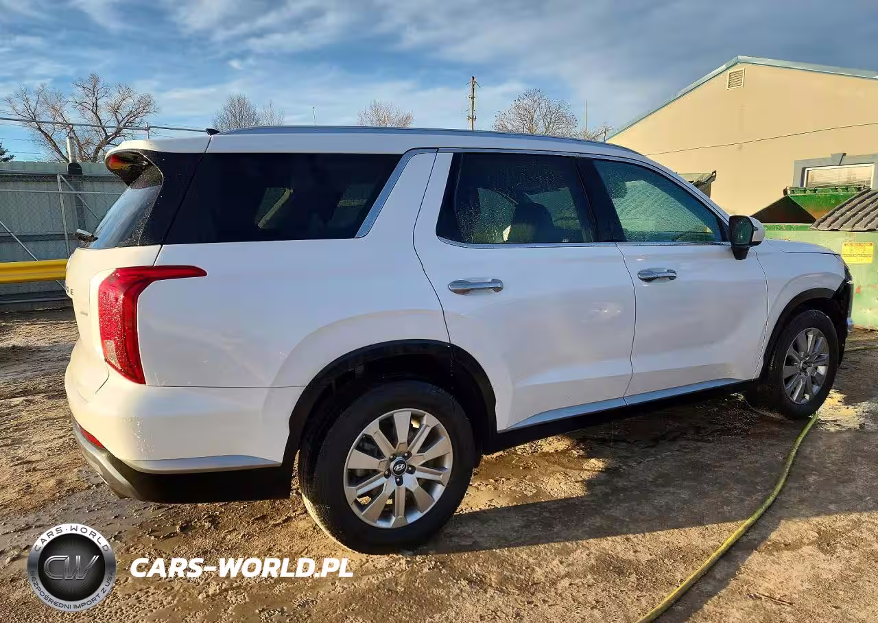 2025 Hyundai Palisade Sel VIN:KM8R2DGE1SU876383 - 3