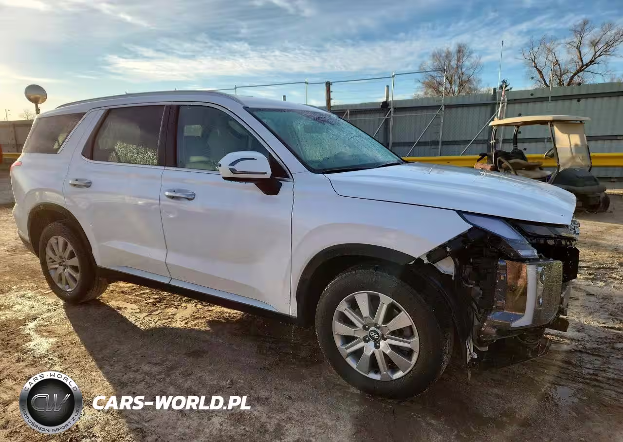 2025 Hyundai Palisade Sel VIN:KM8R2DGE1SU876383 - 4