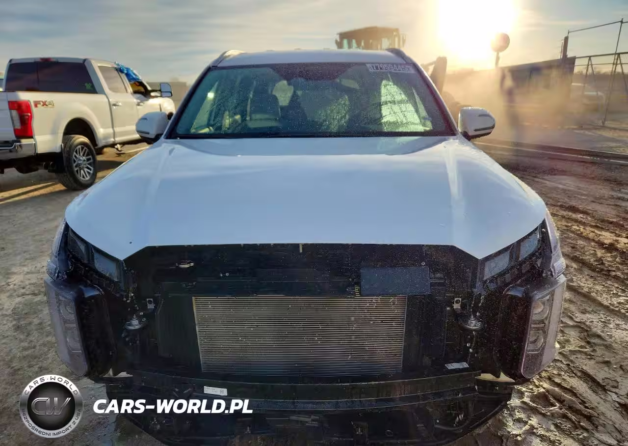 2025 Hyundai Palisade Sel VIN:KM8R2DGE1SU876383 - 5
