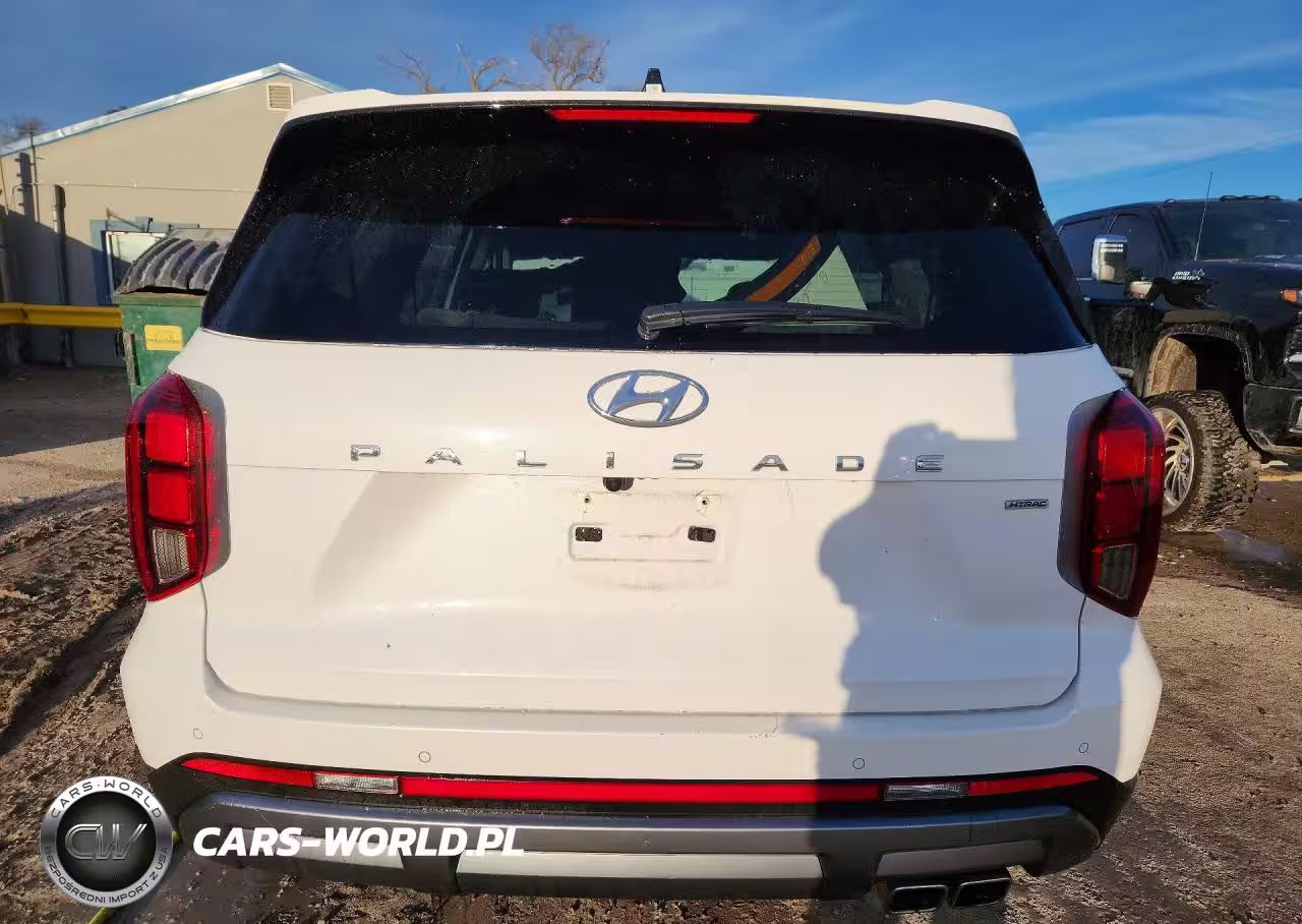2025 Hyundai Palisade Sel VIN:KM8R2DGE1SU876383 - 6