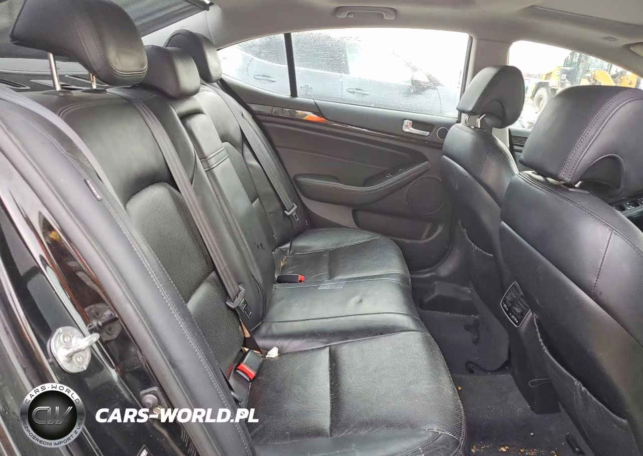 2014 Kia Cadenza Premium VIN:KNALN4D71E5133208 - 10