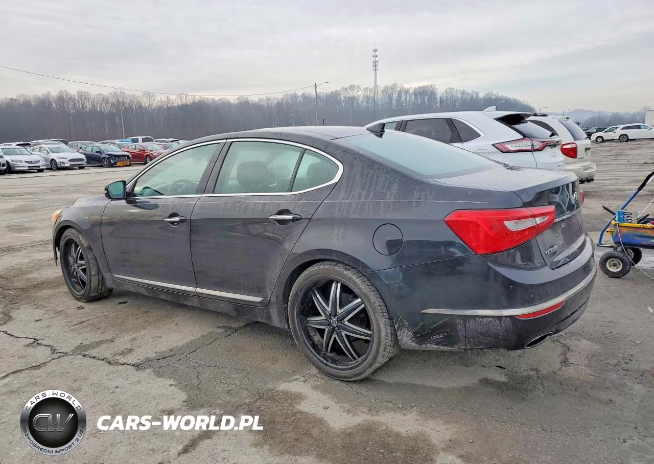 2014 Kia Cadenza Premium VIN:KNALN4D71E5133208 - 2