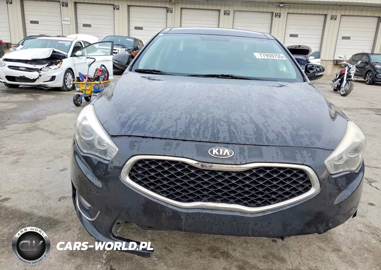 2014 Kia Cadenza Premium VIN:KNALN4D71E5133208 - 5