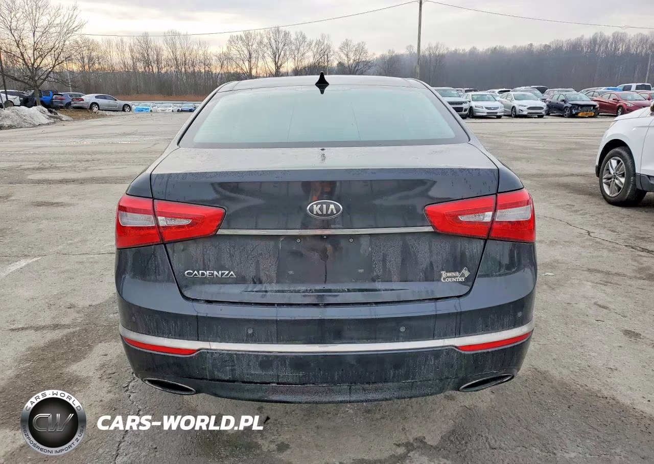 2014 Kia Cadenza Premium VIN:KNALN4D71E5133208 - 6