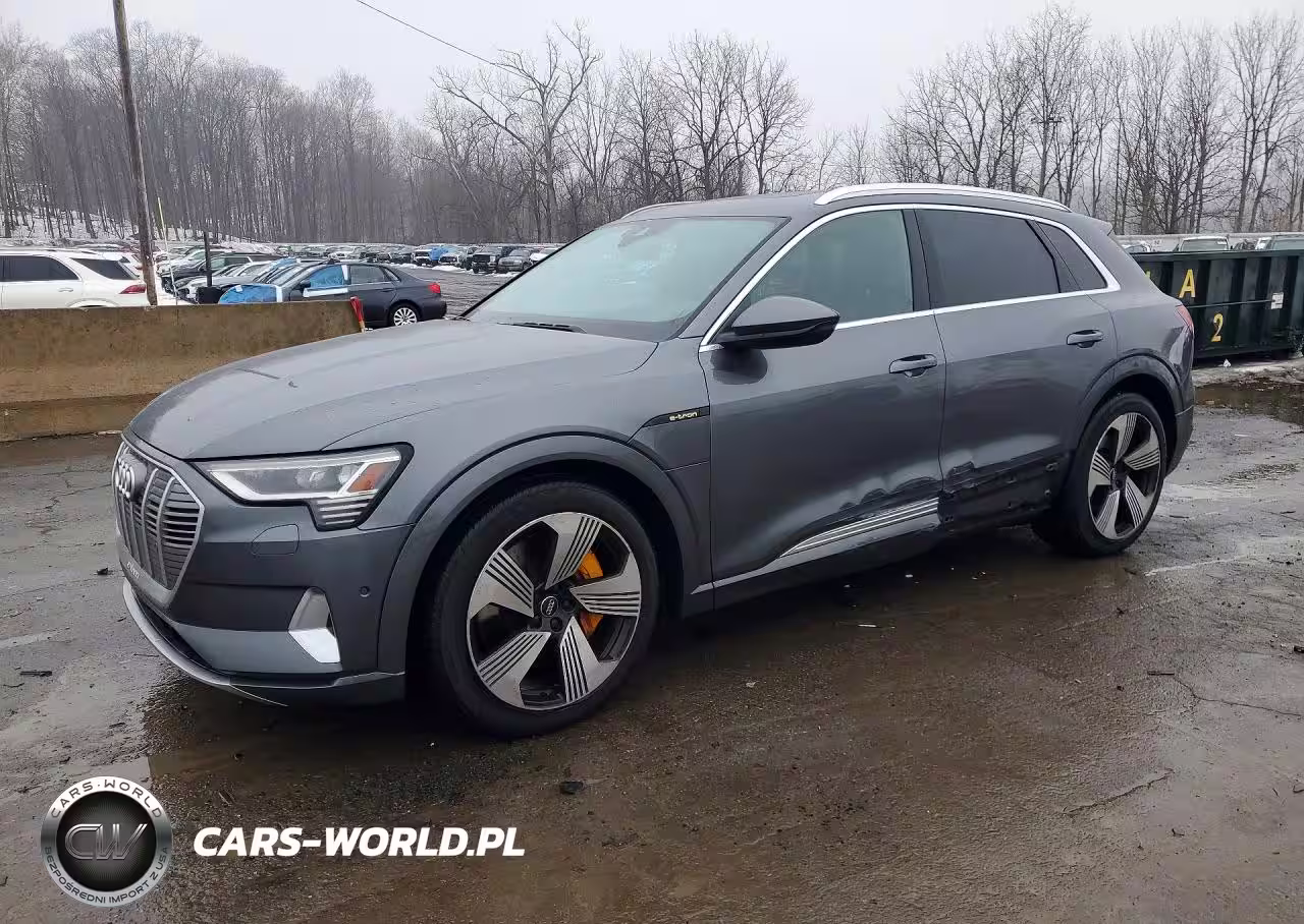 2019 Audi E-Tron Prestige