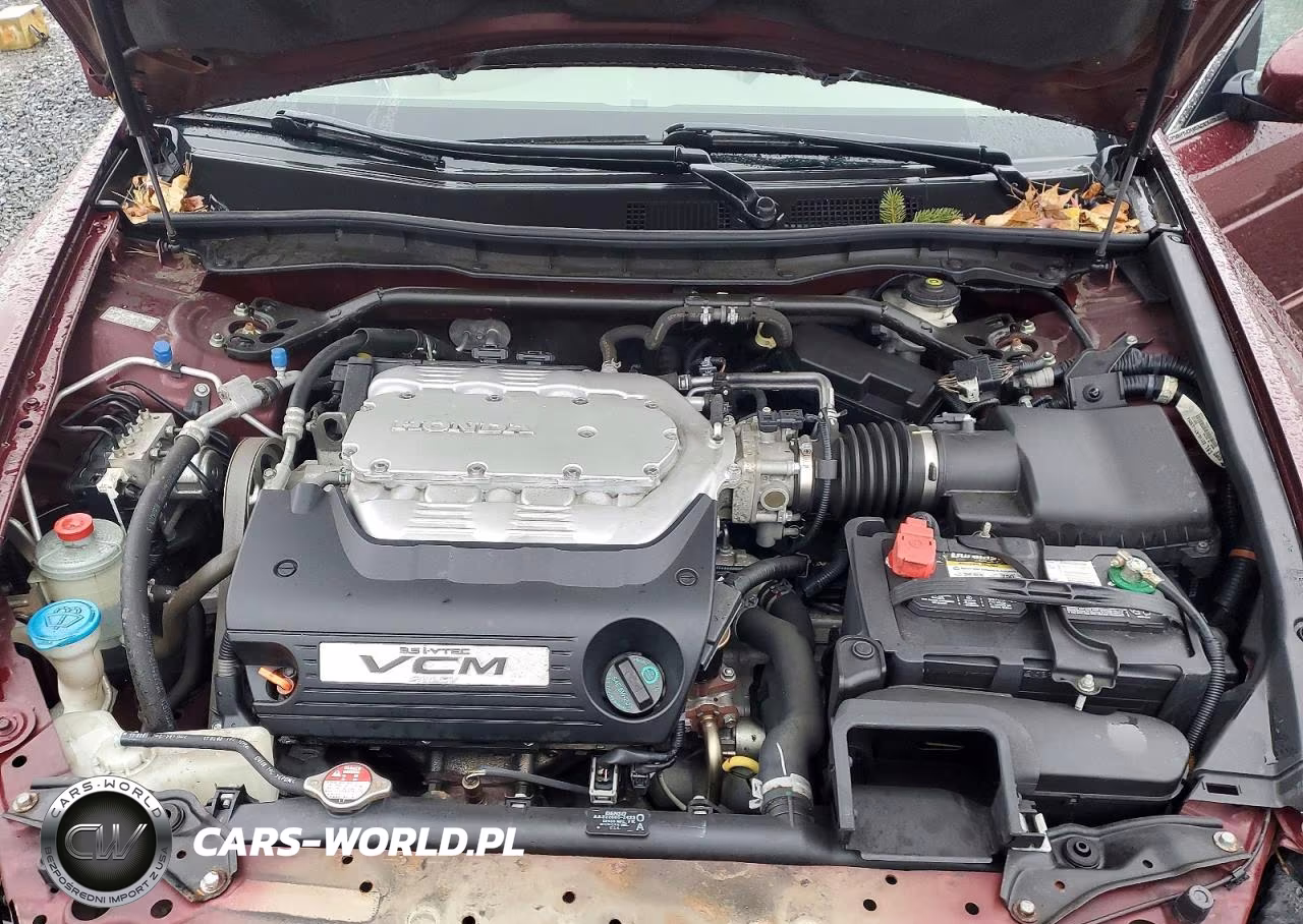 2009 Honda Accord Exl VIN:1HGCP36839A001658 - 11