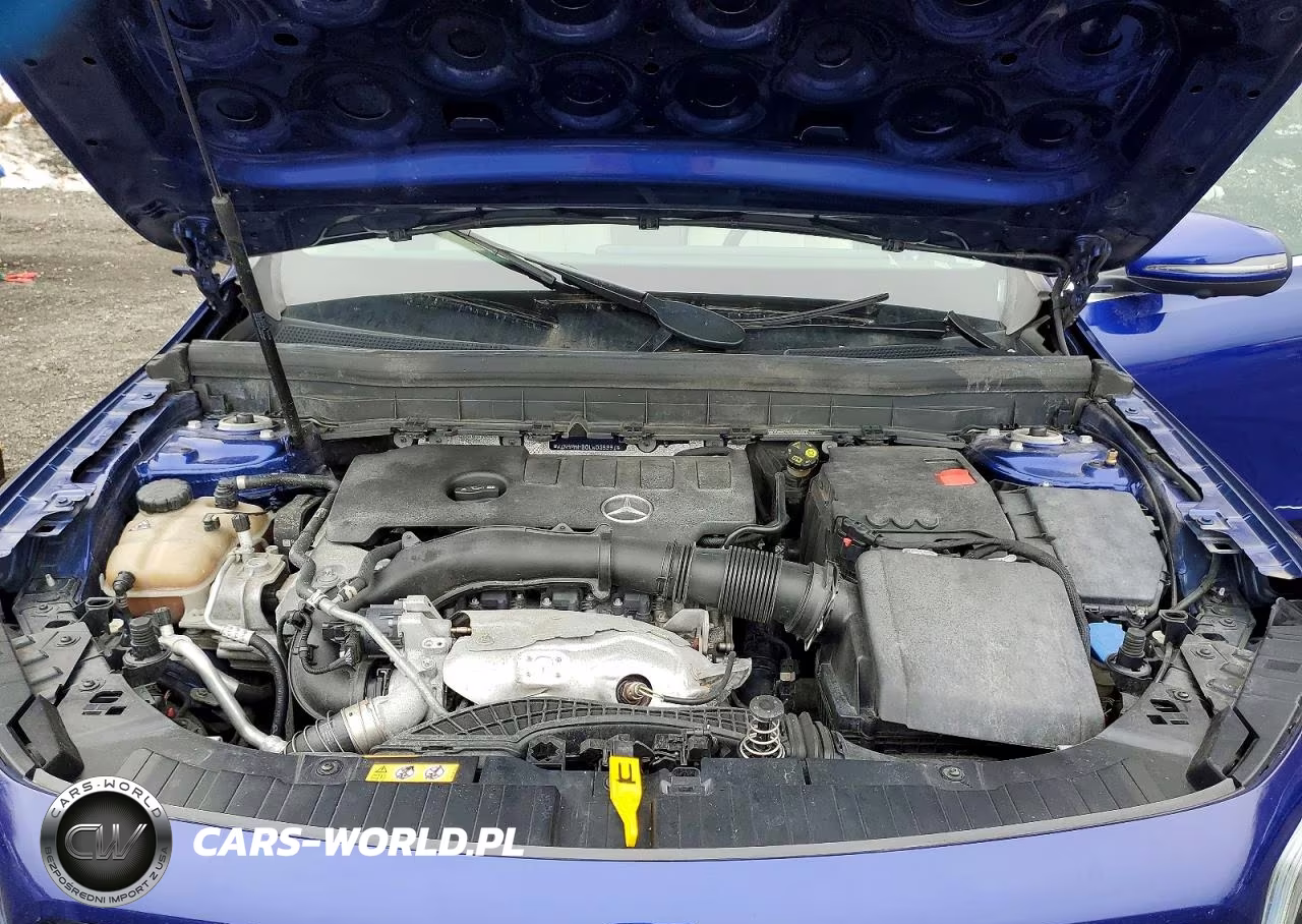 2020 Mercedes-Benz Glb 250 4Matic VIN:W1N4M4HB0LW035991 - 12