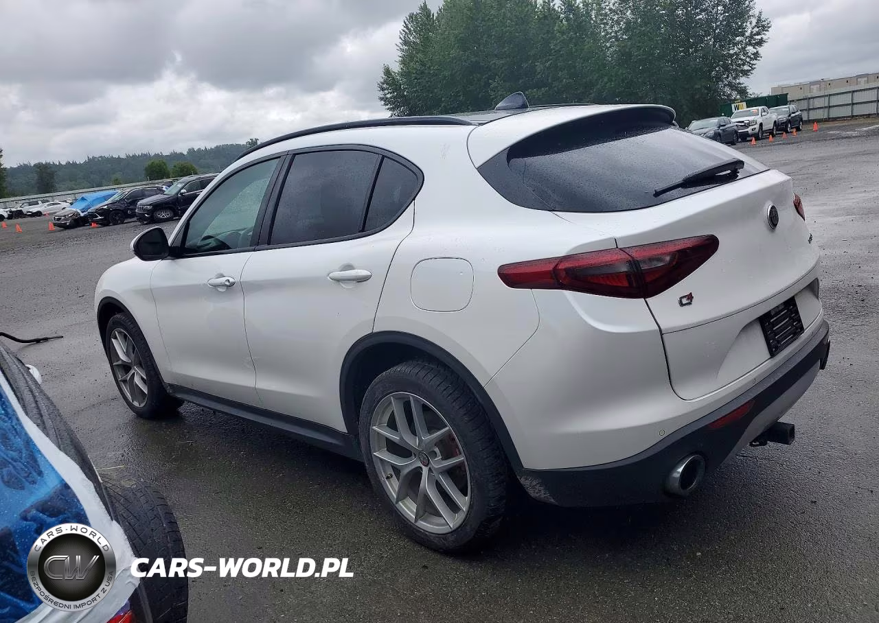 2019 Alfa Romeo Stelvio Ti VIN:ZASPAKBN5K7C34507 - 2