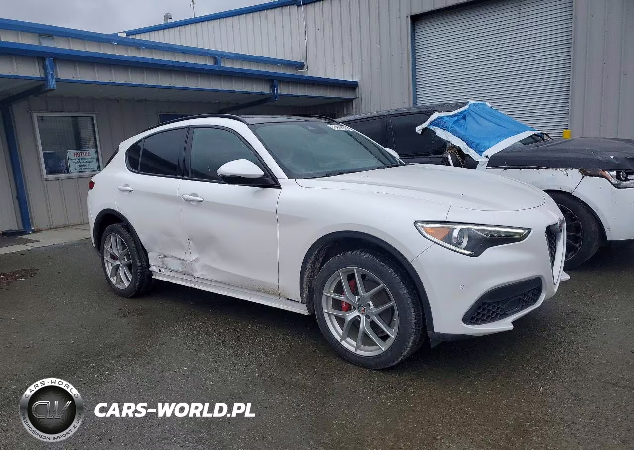 2019 Alfa Romeo Stelvio Ti VIN:ZASPAKBN5K7C34507 - 4