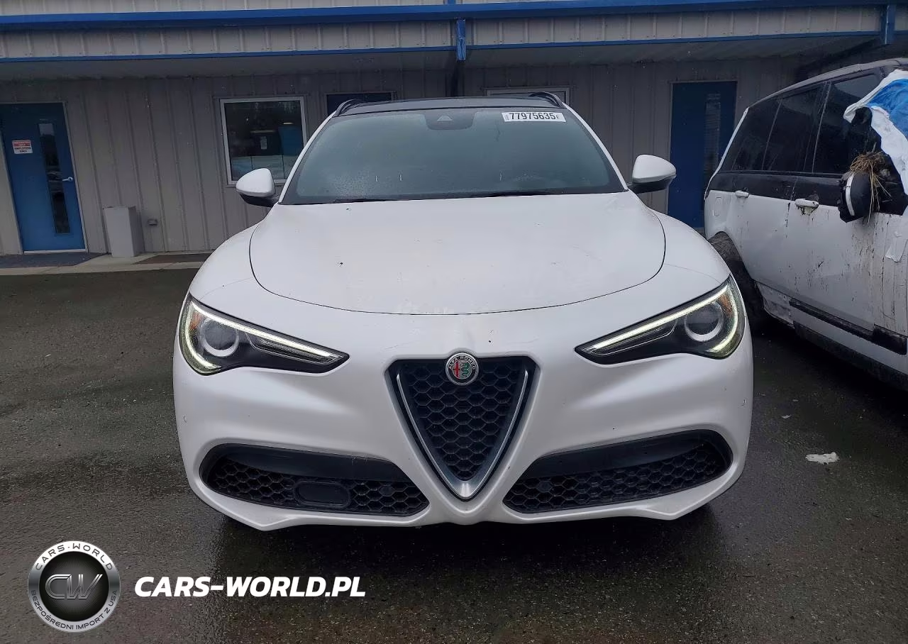 2019 Alfa Romeo Stelvio Ti VIN:ZASPAKBN5K7C34507 - 5