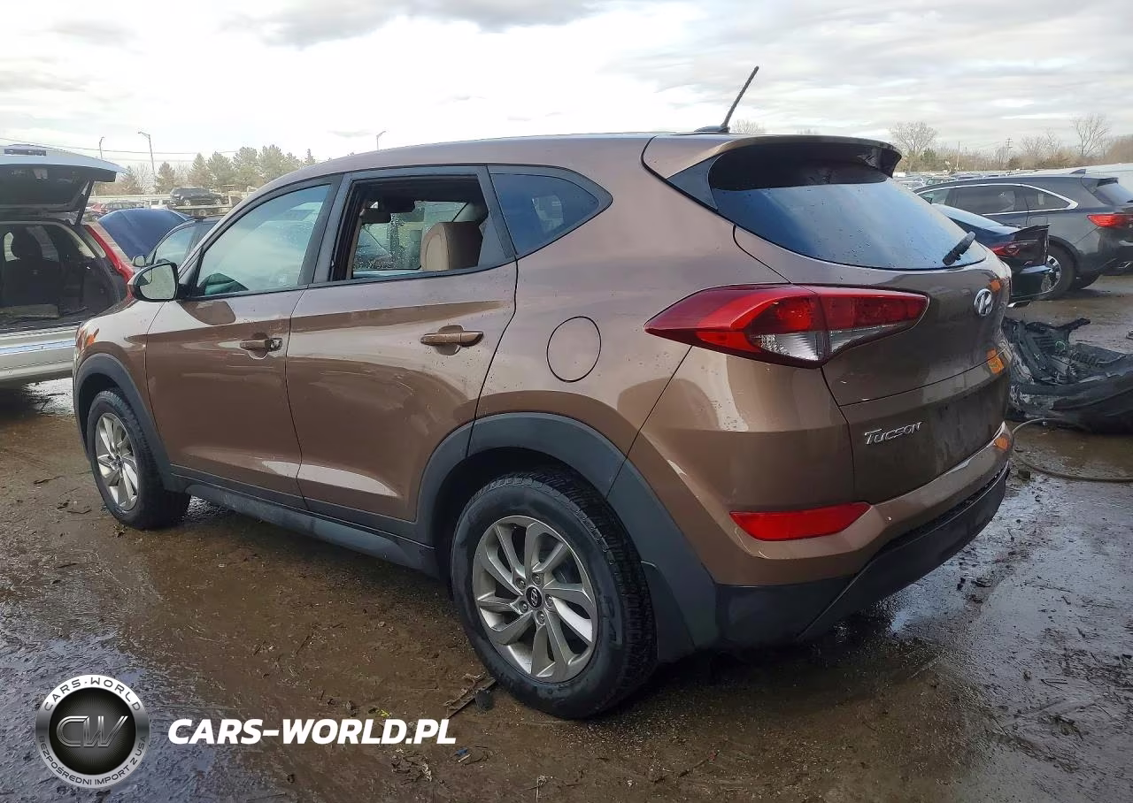 2017 Hyundai Tucson Se VIN:KM8J23A45HU528134 - 2