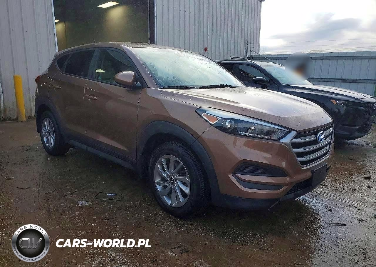 2017 Hyundai Tucson Se VIN:KM8J23A45HU528134 - 4
