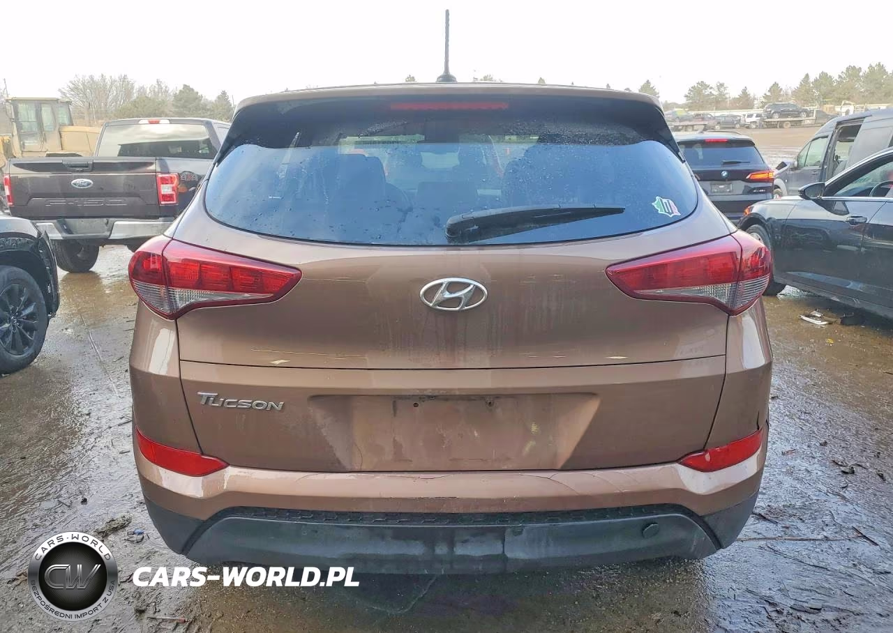 2017 Hyundai Tucson Se VIN:KM8J23A45HU528134 - 6