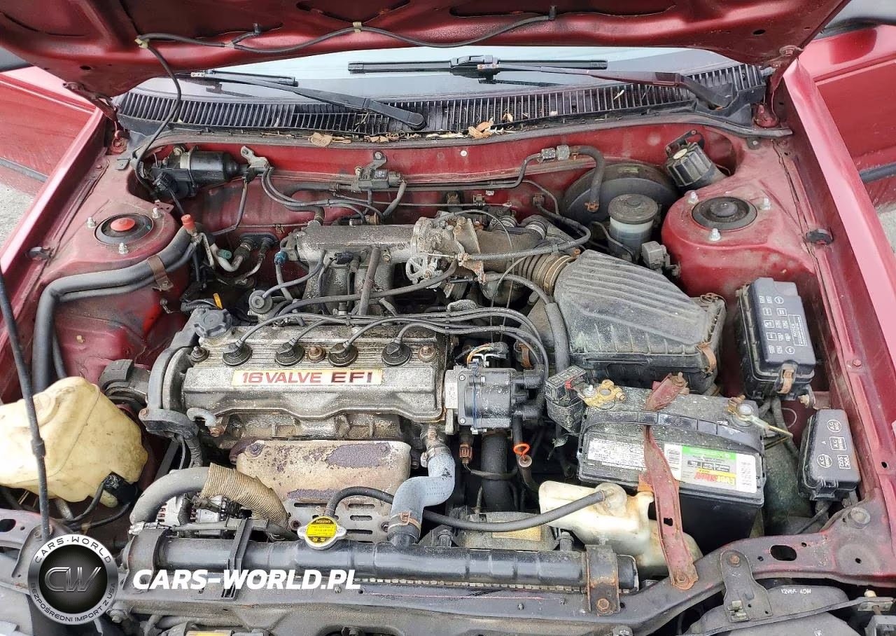 1992 Toyota Corolla VIN:2T1AE91A4NC180002 - 11