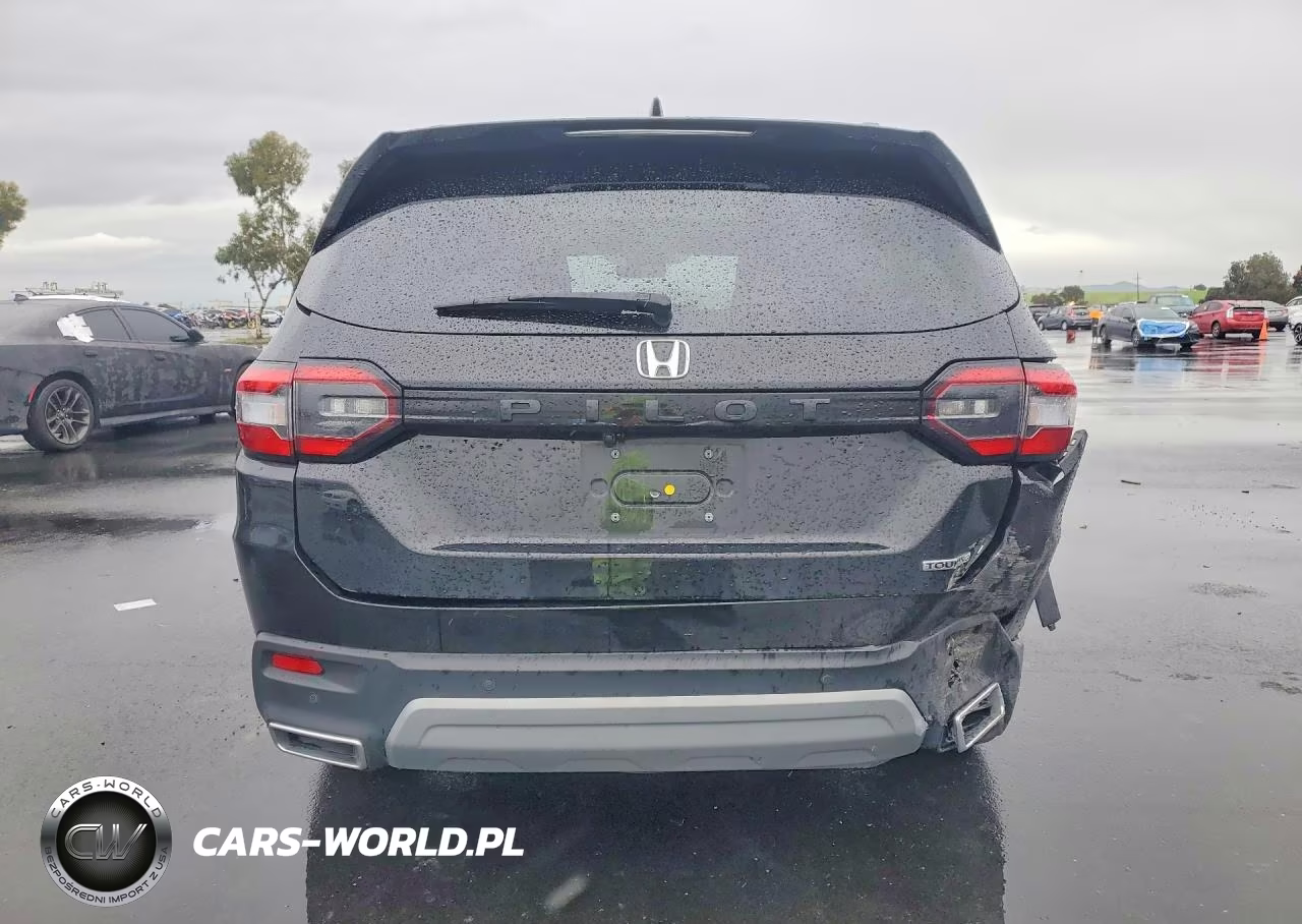 2025 Honda Pilot Touring VIN:5FNYG2H72SB004941 - 6
