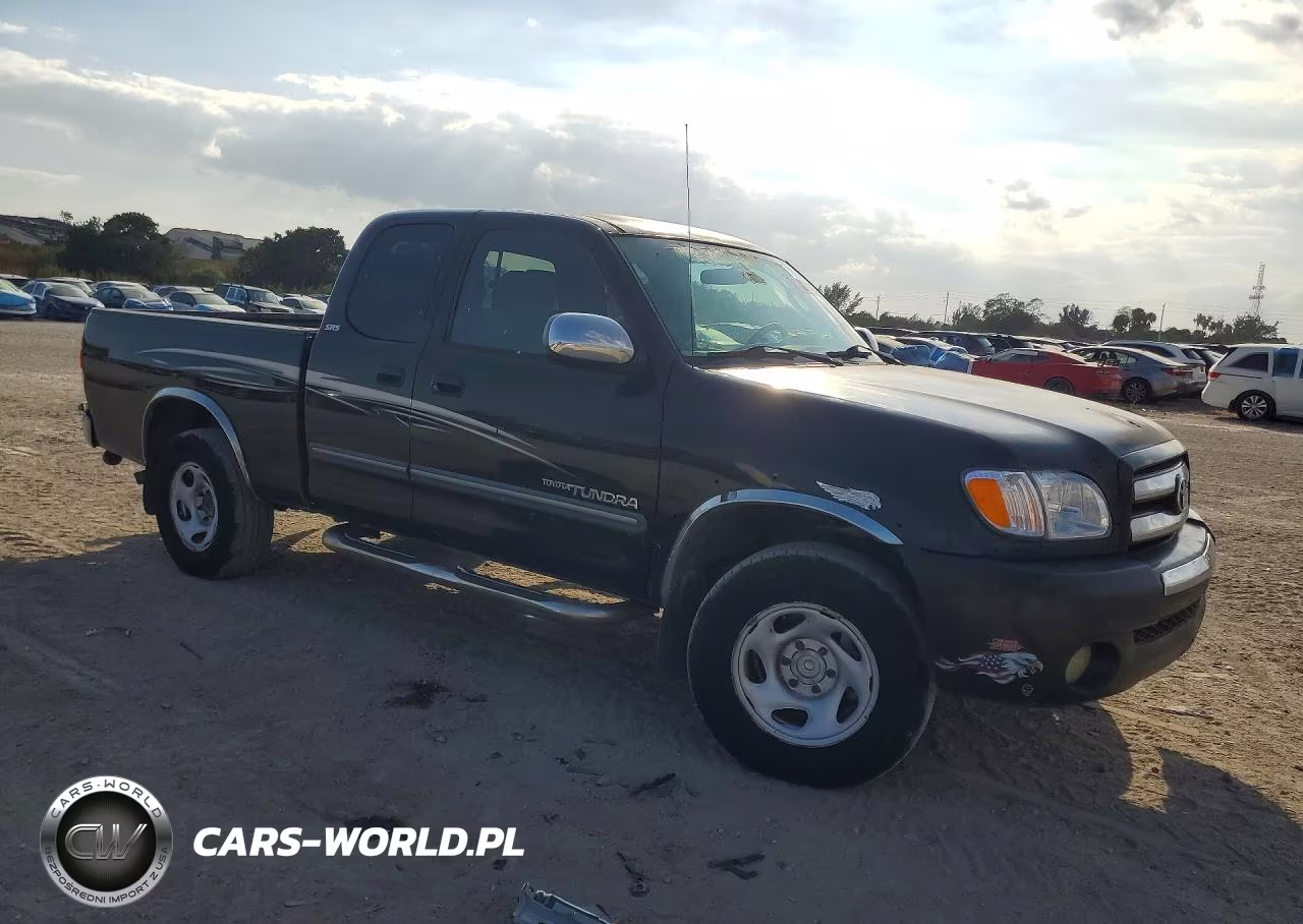 2004 Toyota Tundra Access Cab Sr5 VIN:5TBRN34164S441138 - 4