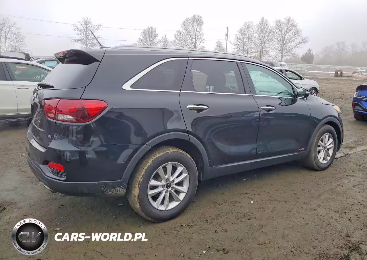 2020 Kia Sorento L VIN:5XYPGDA39LG702116 - 3