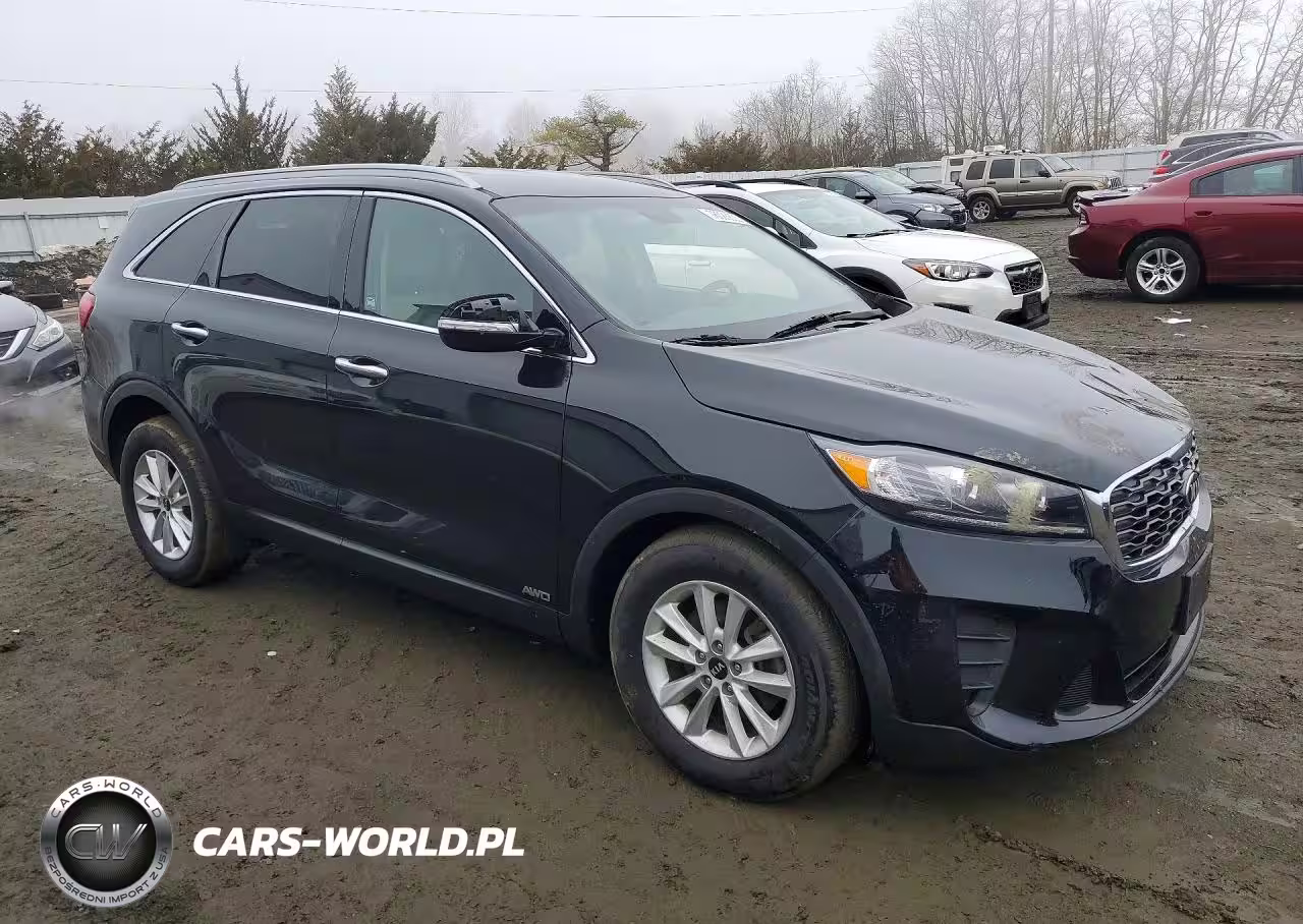2020 Kia Sorento L VIN:5XYPGDA39LG702116 - 4
