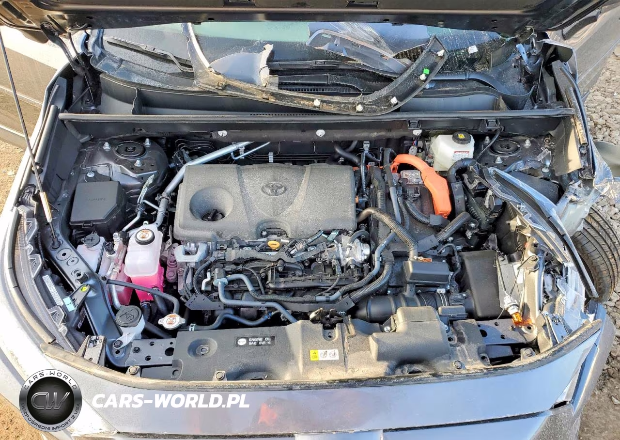 2025 Toyota Rav4 Le VIN:4T3LWRFV4SU207623 - 12