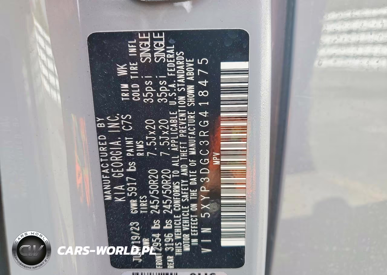 2024 Kia Telluride Ex VIN:5XYP3DGC3RG418475 - 13