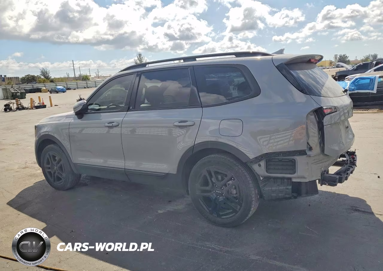 2024 Kia Telluride Ex VIN:5XYP3DGC3RG418475 - 2