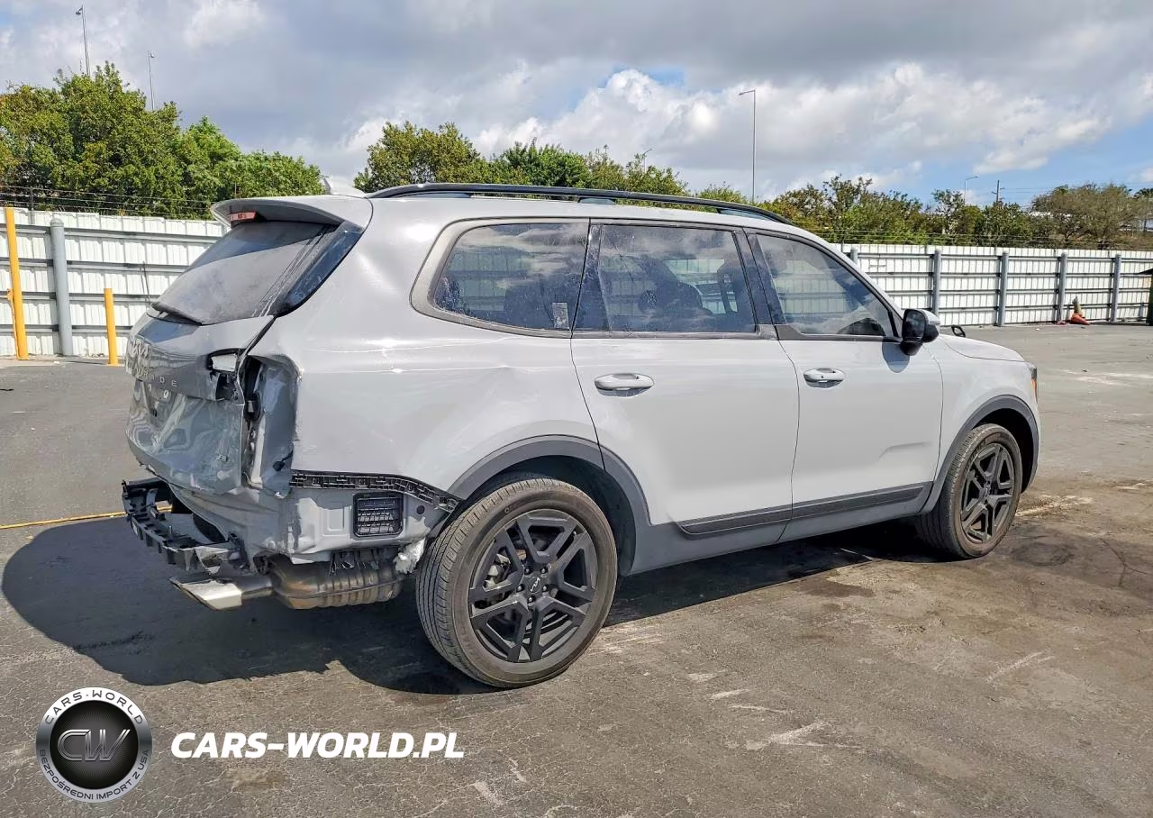 2024 Kia Telluride Ex VIN:5XYP3DGC3RG418475 - 3