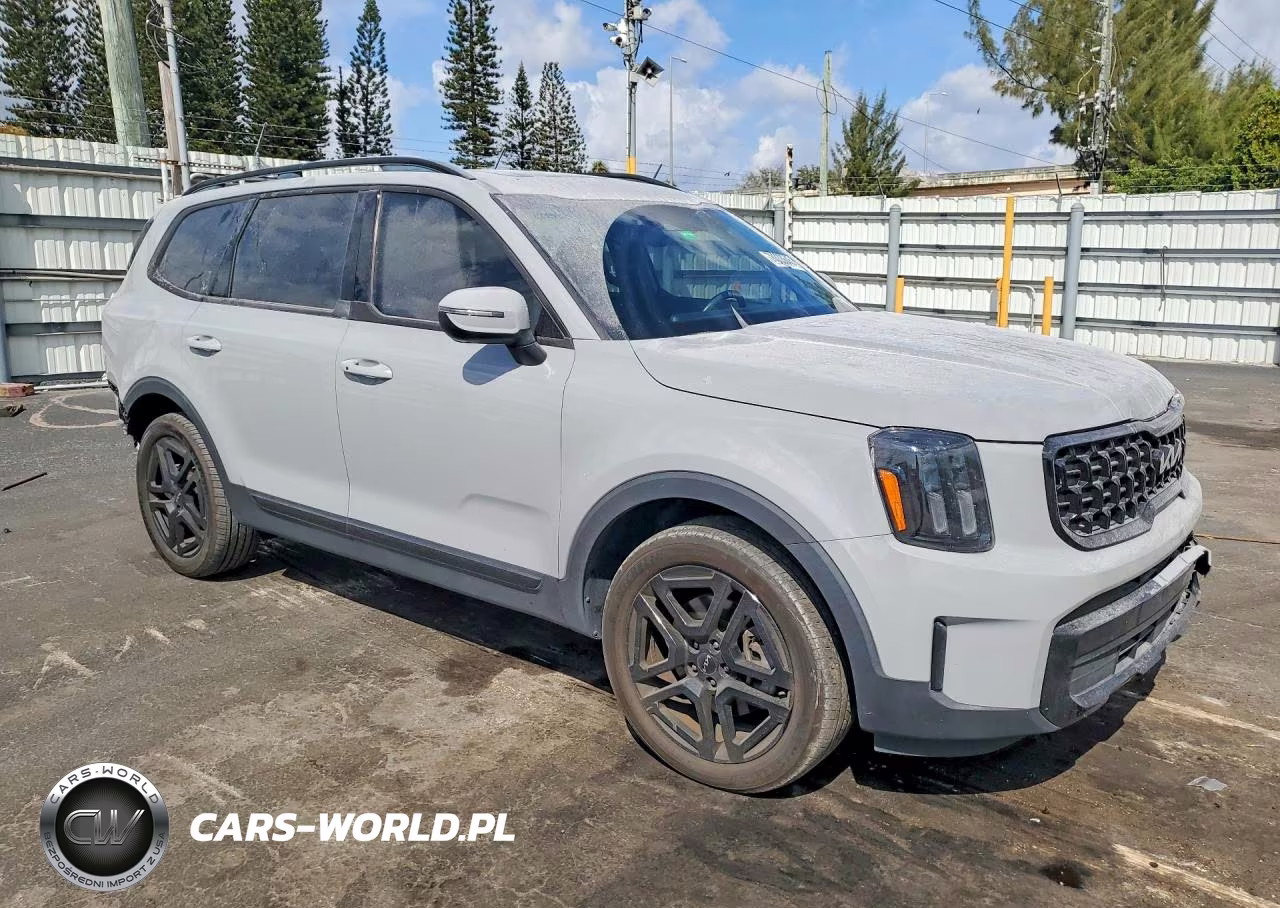 2024 Kia Telluride Ex VIN:5XYP3DGC3RG418475 - 4