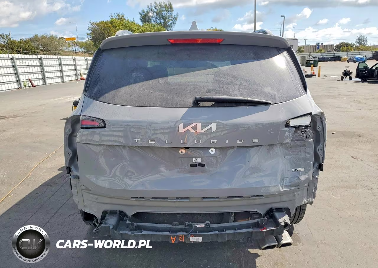 2024 Kia Telluride Ex VIN:5XYP3DGC3RG418475 - 6