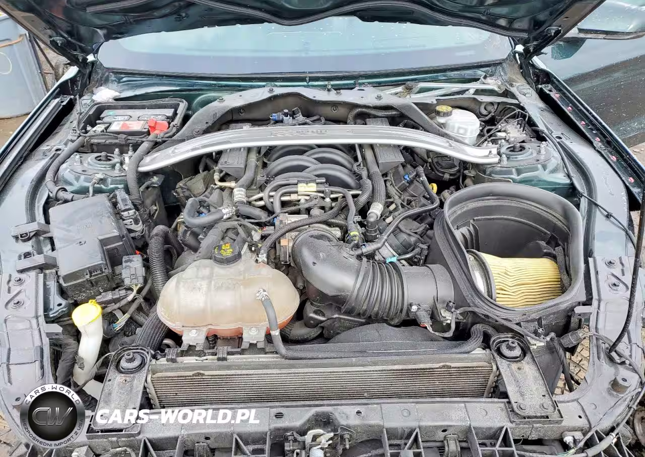 2019 Ford Mustang Bullitt VIN:1FA6P8K00K5505484 - 11