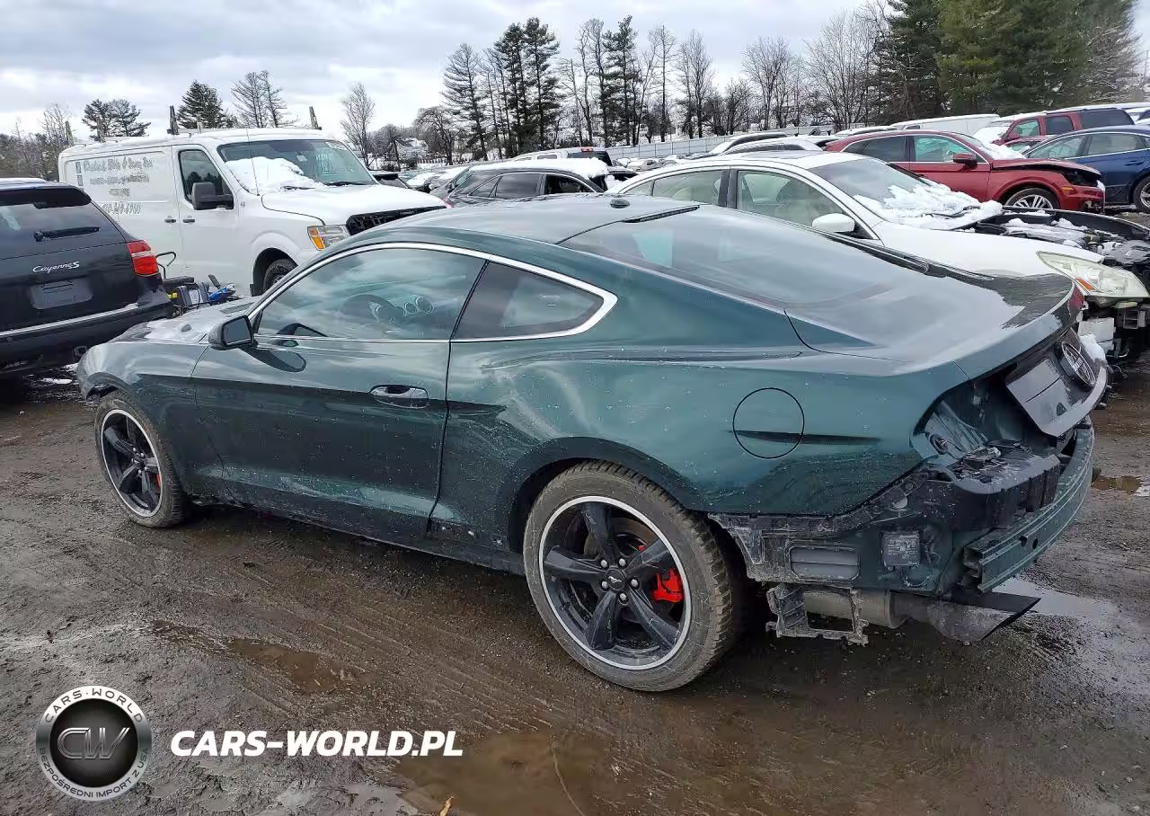 2019 Ford Mustang Bullitt VIN:1FA6P8K00K5505484 - 2