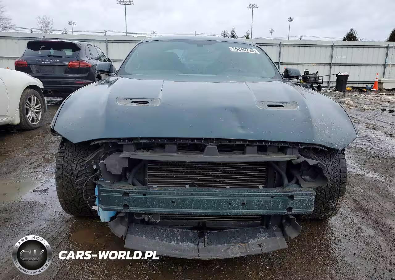 2019 Ford Mustang Bullitt VIN:1FA6P8K00K5505484 - 5