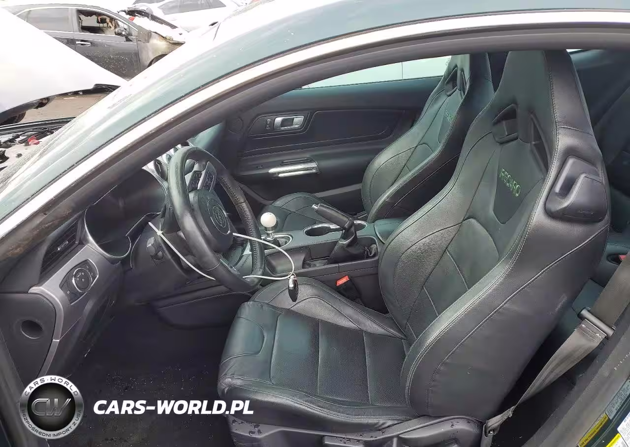2019 Ford Mustang Bullitt VIN:1FA6P8K00K5505484 - 7