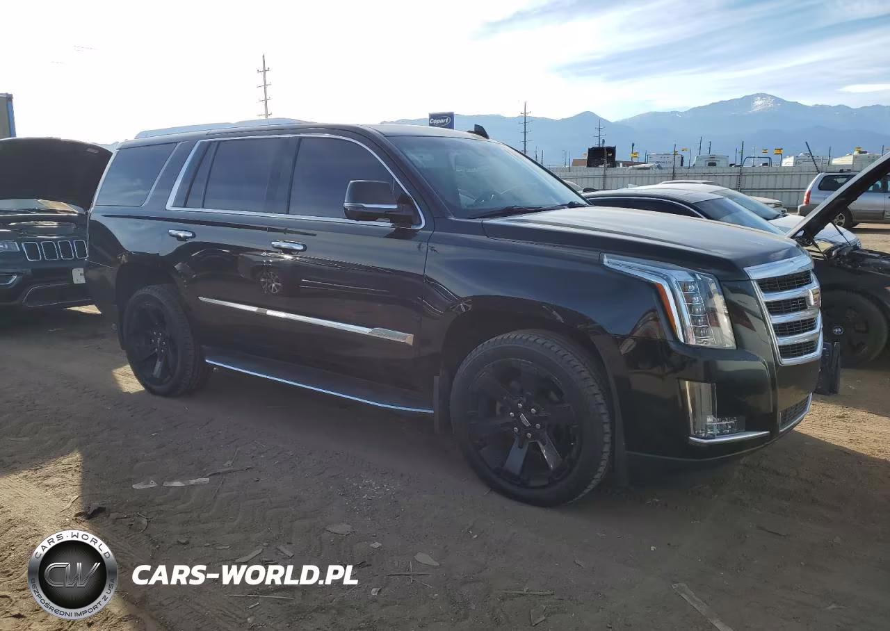2016 Cadillac Escalade Luxury VIN:1GYS4BKJ7GR480794 - 4