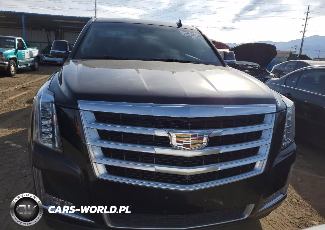 2016 Cadillac Escalade Luxury VIN:1GYS4BKJ7GR480794 - 5