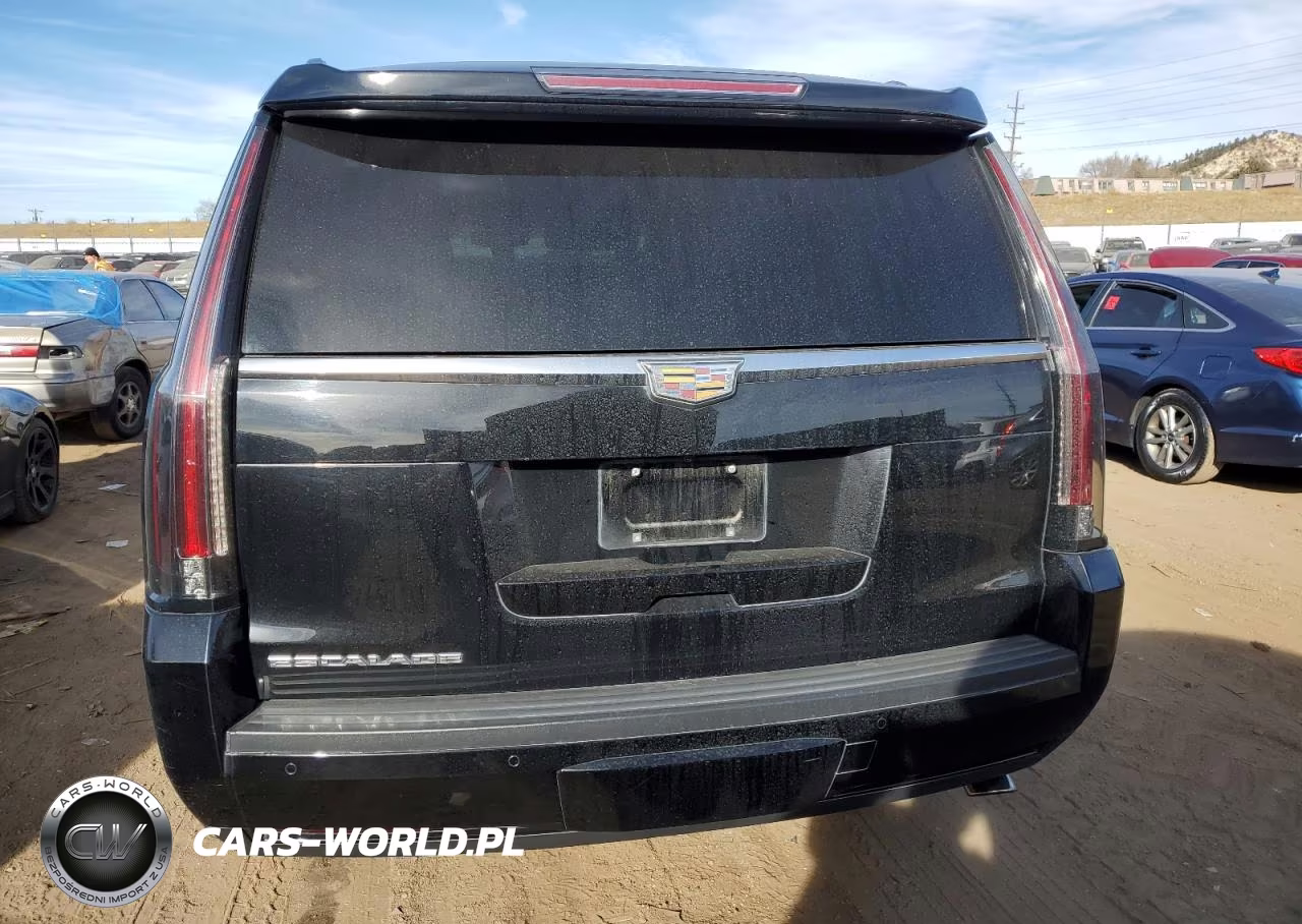 2016 Cadillac Escalade Luxury VIN:1GYS4BKJ7GR480794 - 6