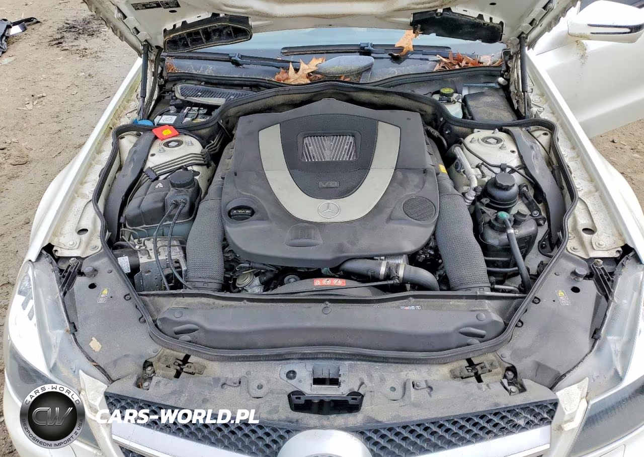 2009 Mercedes-Benz Sl 550 VIN:WDBSK71F29F153373 - 11