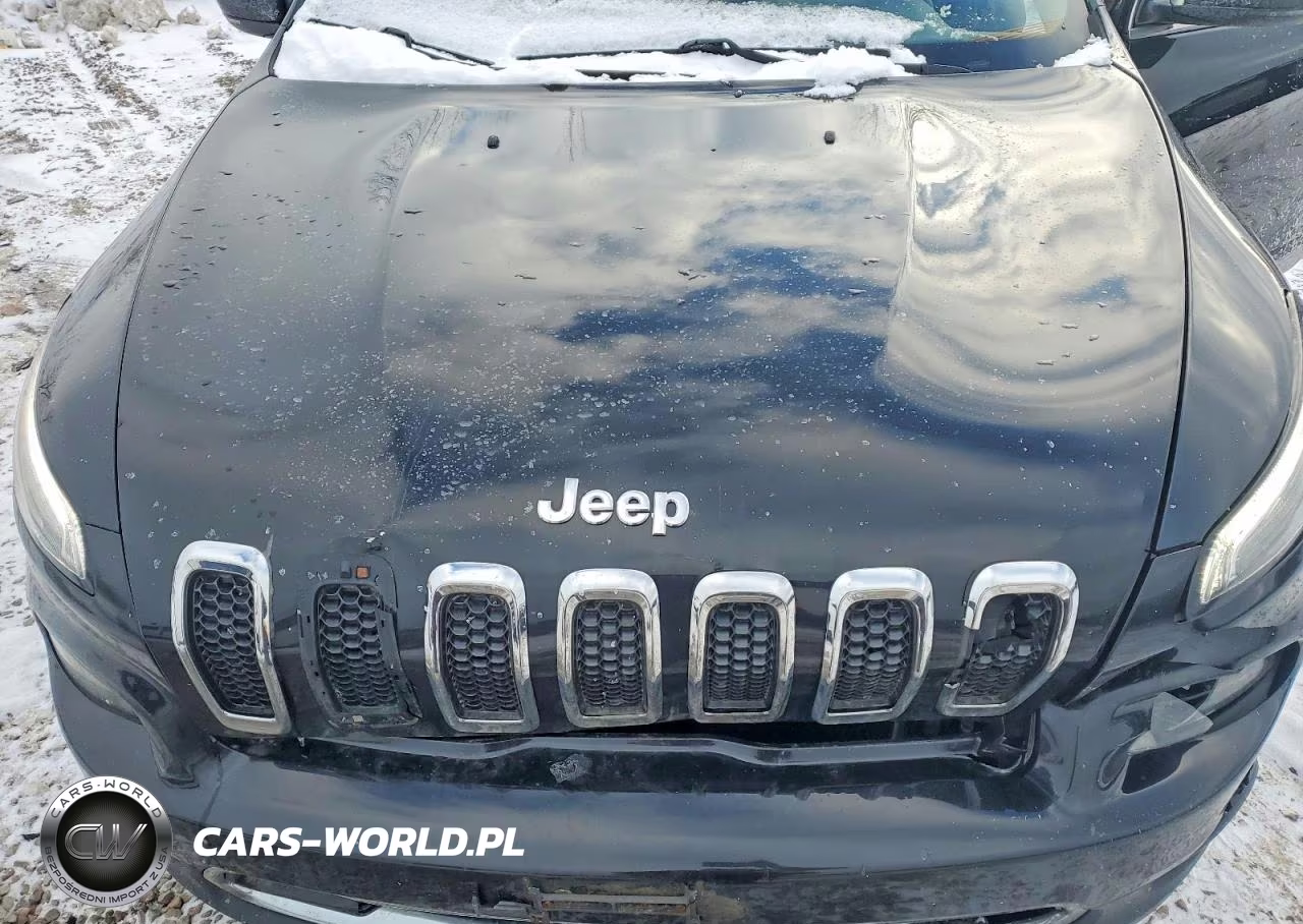 2016 Jeep Cherokee Limited VIN:1C4PJMDB3GW271222 - 12
