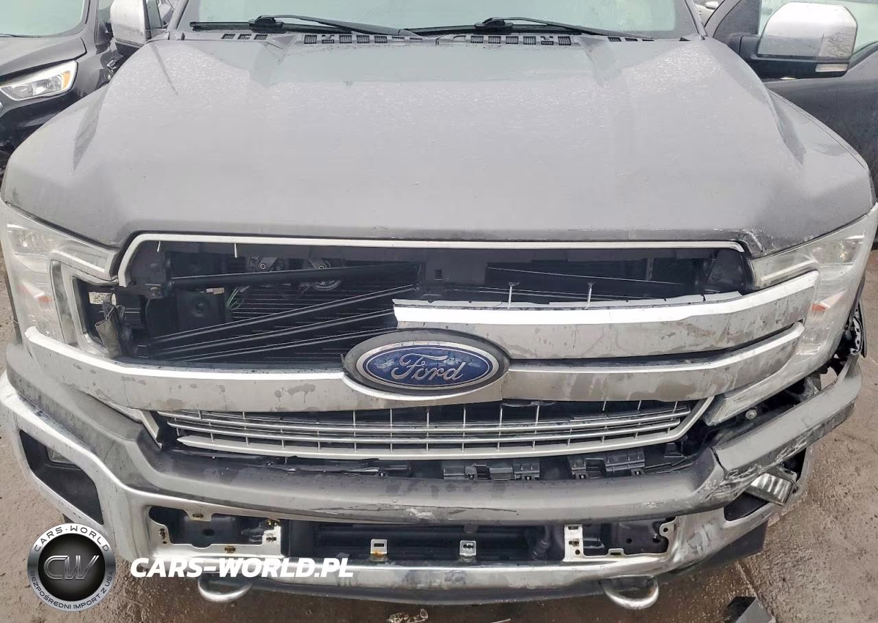 2019 Ford F150 Supercrew VIN:1FTEW1EP9KFB40466 - 11