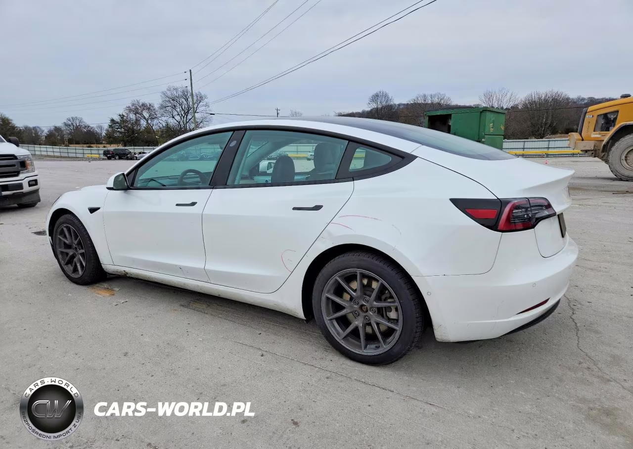 2021 Tesla Model 3 VIN:5YJ3E1EB5MF066176 - 2