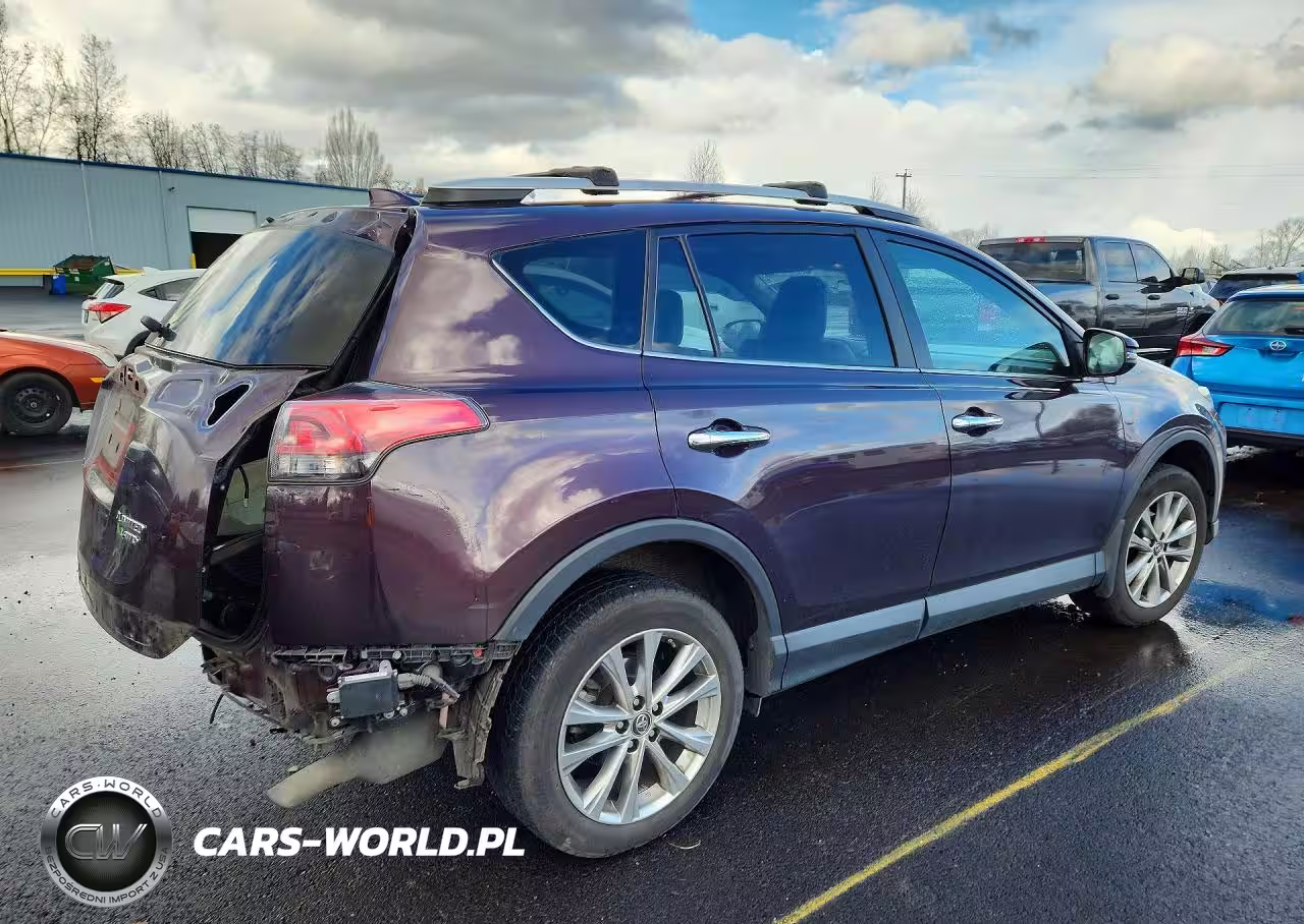 2016 Toyota Rav4 Limited VIN:2T3DFREV1GW468883 - 3