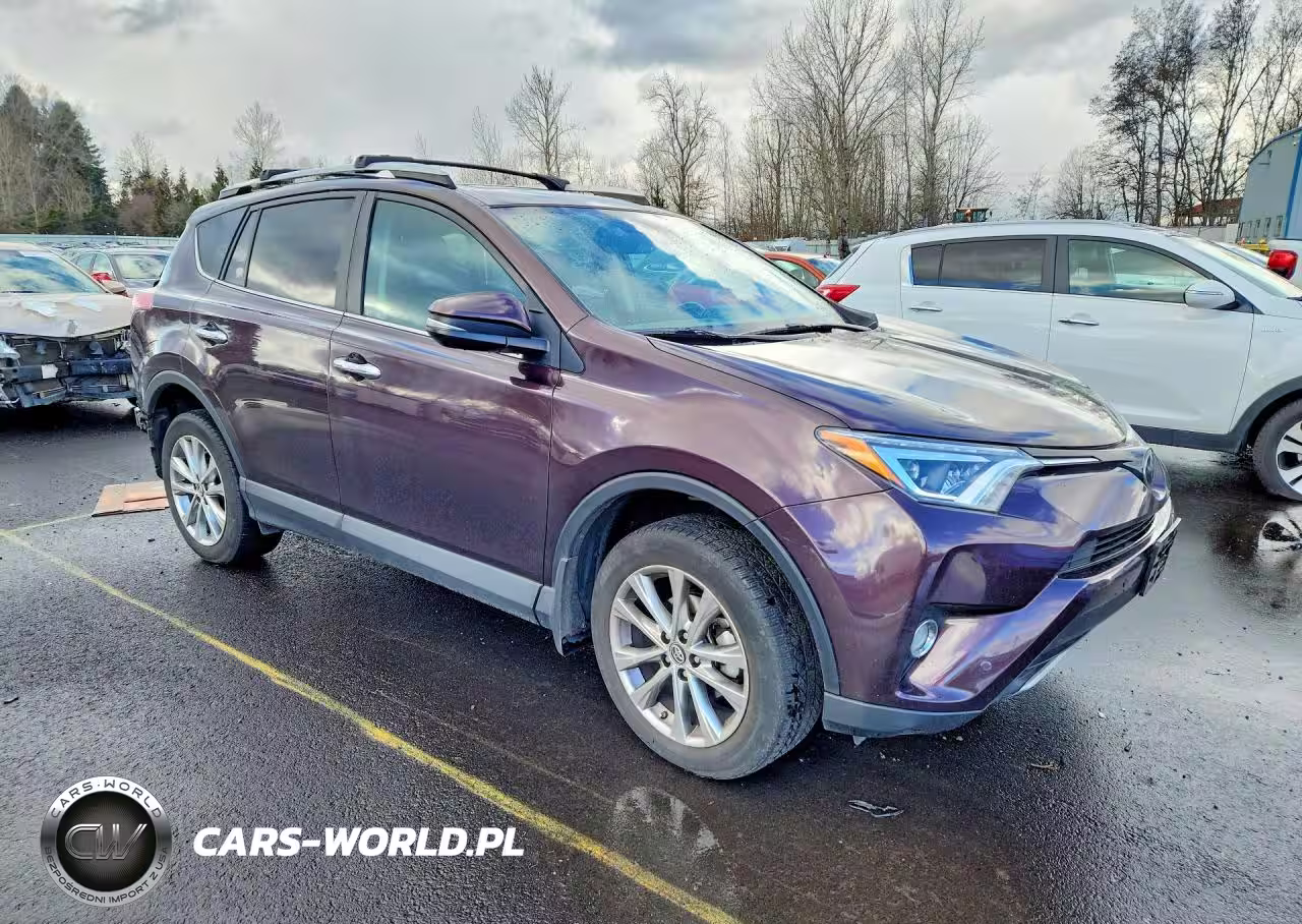 2016 Toyota Rav4 Limited VIN:2T3DFREV1GW468883 - 4