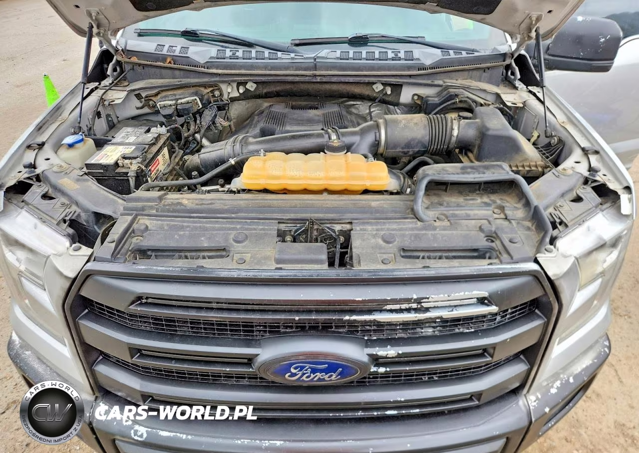 2017 Ford F150 Supercrew VIN:1FTEW1EG9HFB54005 - 11