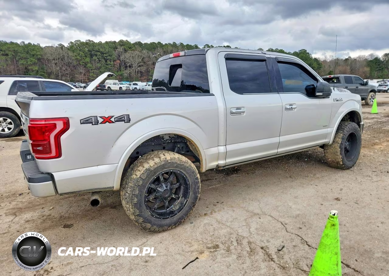 2017 Ford F150 Supercrew VIN:1FTEW1EG9HFB54005 - 3