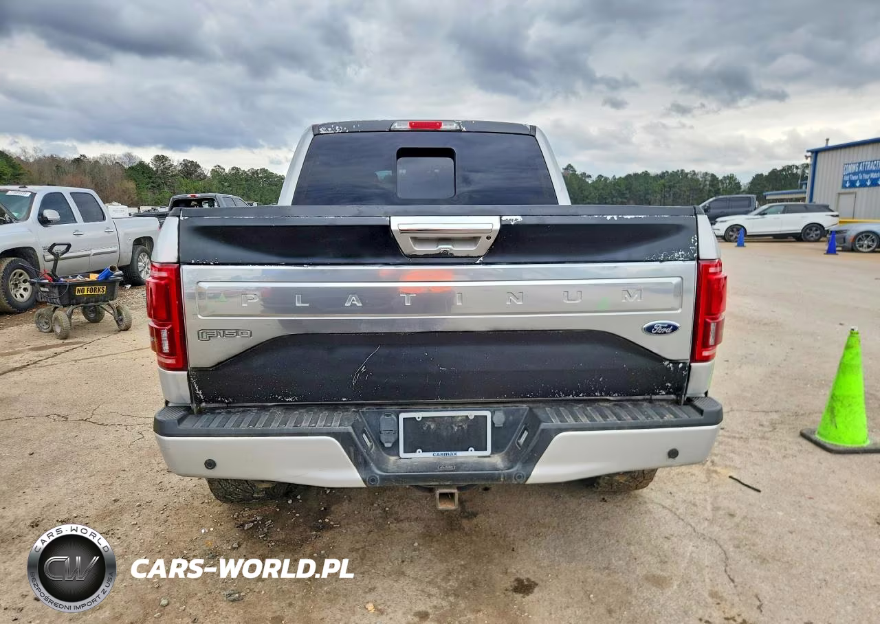 2017 Ford F150 Supercrew VIN:1FTEW1EG9HFB54005 - 6