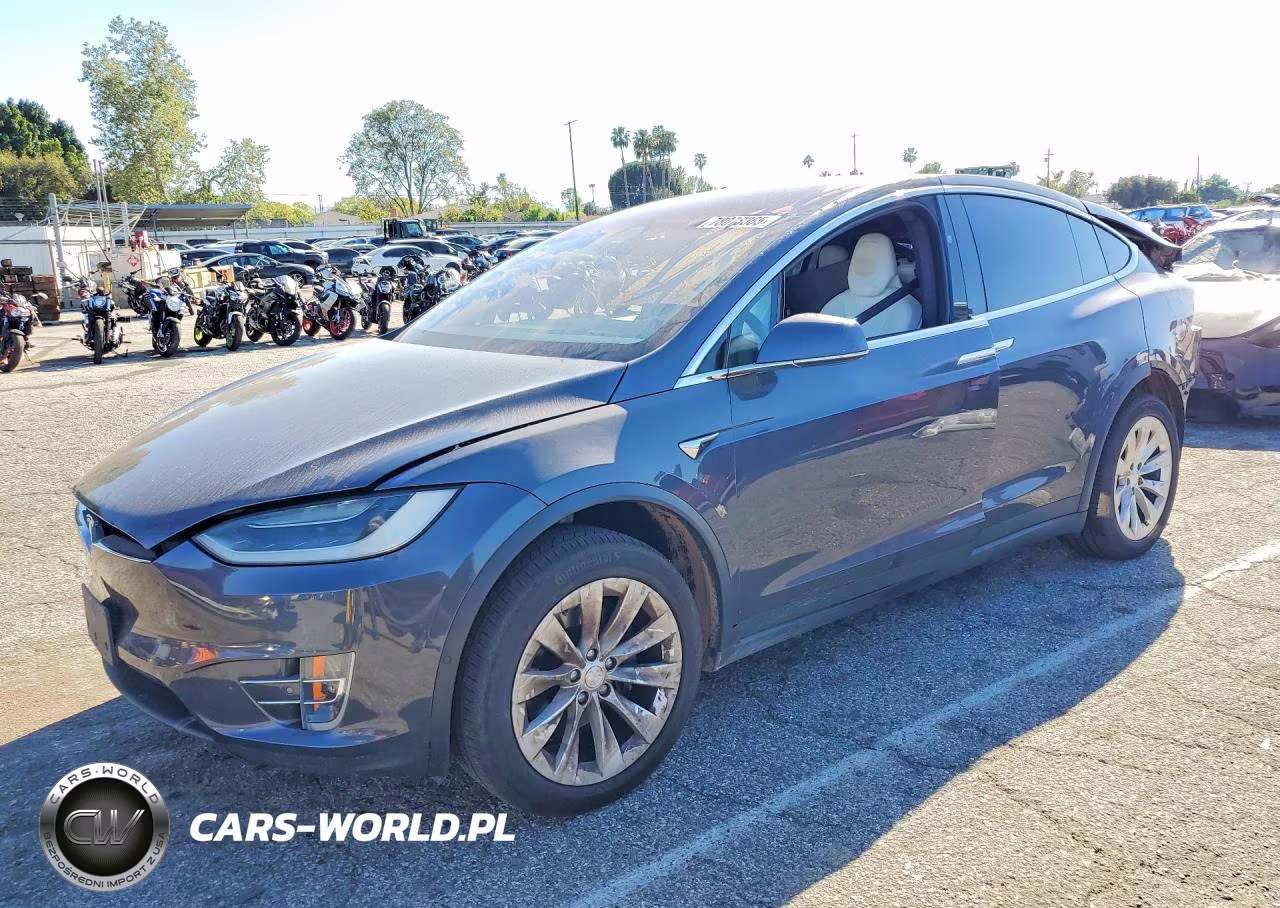 2019 Tesla Model X