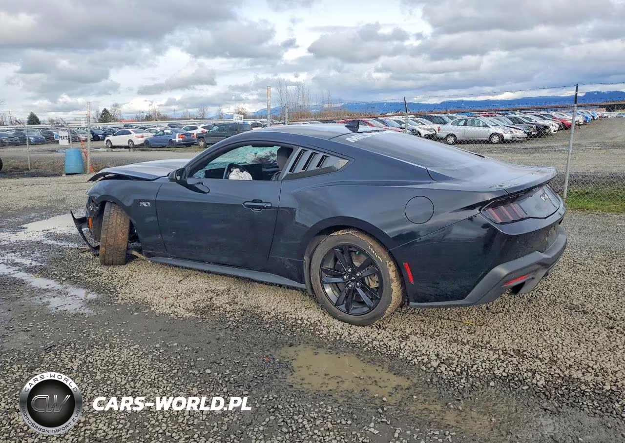 2024 Ford Mustang Gt VIN:1FA6P8CF3R5409507 - 2