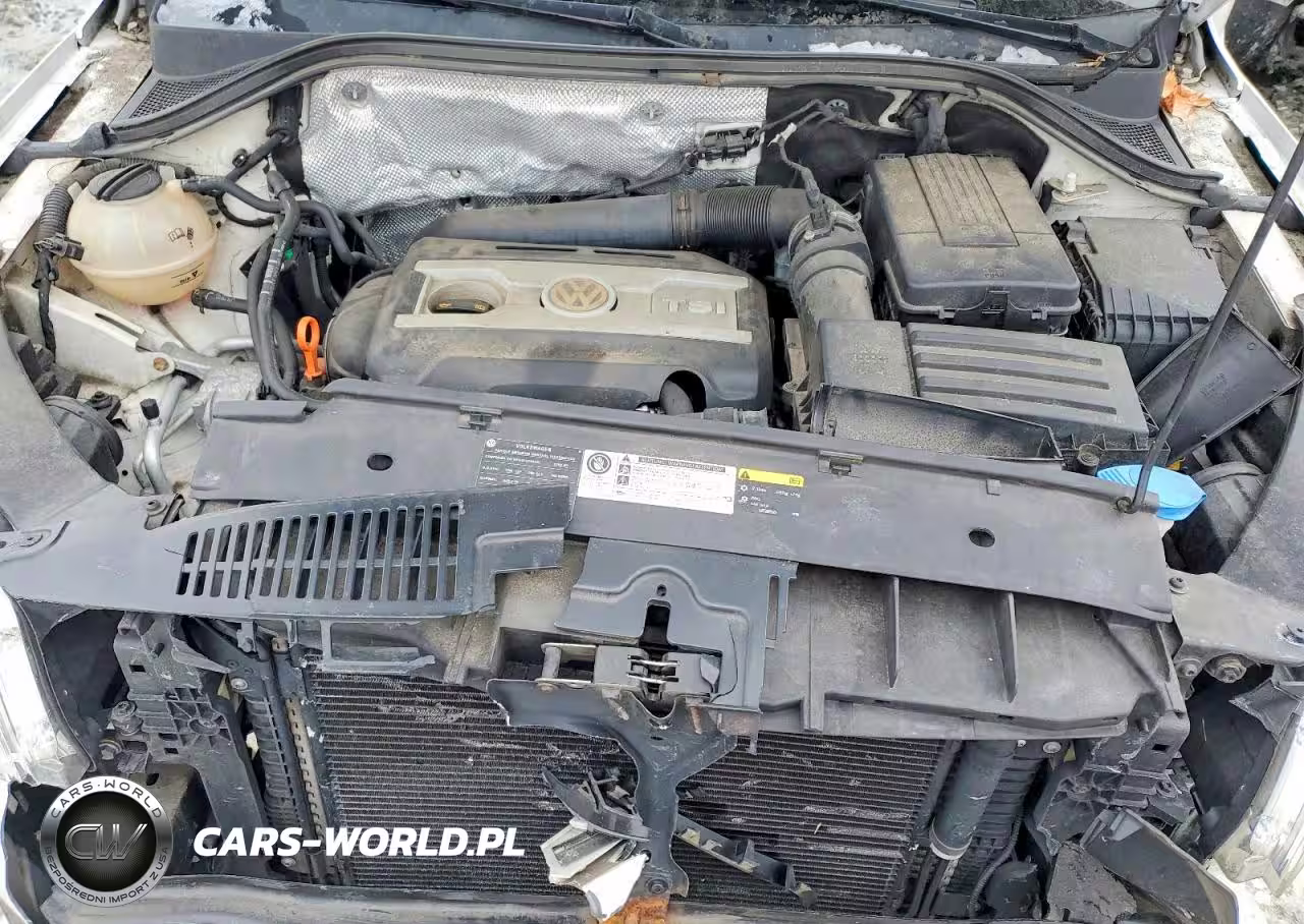 2009 Volkswagen Tiguan S VIN:WVGCV75N79W517653 - 12